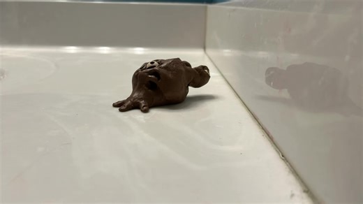 Alien metamorphosis claymation