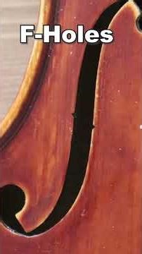 Every Part of the Violin - Short Guide