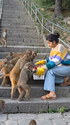 FEEDING ANIMAL on Instagram: "Time to feed the chocolate apple"