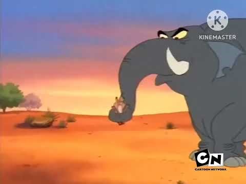Timon & Pumbaa Intro (Cartoon Network Aired Version)