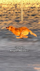 1.1M views · 19K reactions | A daily occurrence  There are two main...