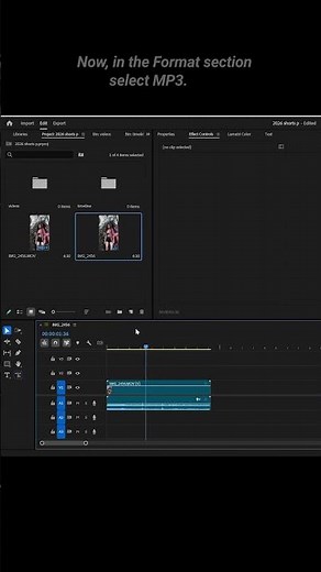 Export Audio as MP3 in Premiere Pro in 1 Minute!