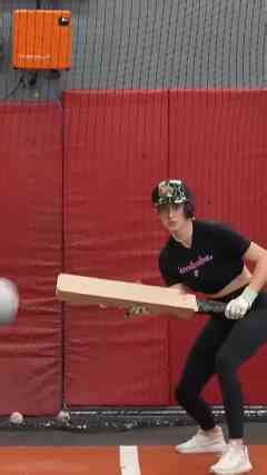 Bunting with homemade bats!