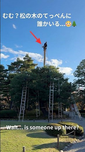 松の木のてっぺんに人がいた…😳🌲ここは金沢・兼六園 | Solo Trip in Kanazawa,Japan