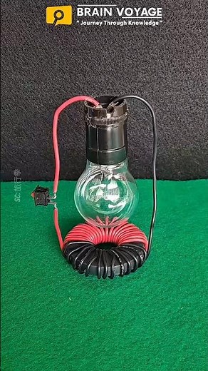 DIY Magnetic Induction Generator