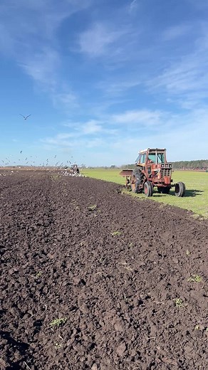 IH 1086 Plowing: Full Video