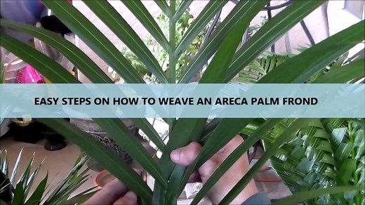 4 EASY STEPS ON HOW TO WEAVE AN ARECA PALM FROND - A VIDEO TUTORIAL SERIES BY DESIGNING FOR DESIGNERS