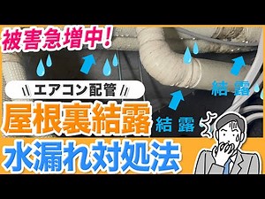 【エアコン配管結露】天井にカビが生える原因！天井腐食・水漏れ対処法