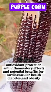 Purple corn benefits #corn #healthtips #fblifestyle #reelsvideoシ #reelsviral | Julie Ann Jo