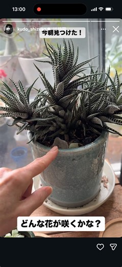 Shizuka Kudo, Takuya Kimura, Cocomi Kōki @kudo_shizuka @takuya_kimura_takuya @koki @cocomi_553_of...