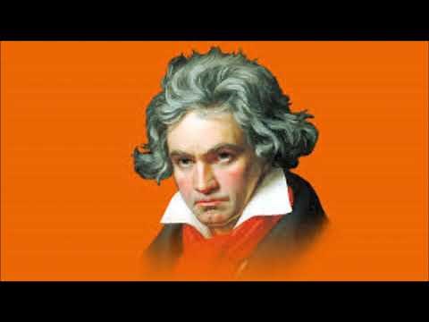 Ta Ta Ta Taaa - Beethoven 250 Jahre