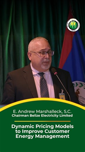 1.2K views · 609 reactions | A new way to save on your energy bill is coming soon. Dynamic pricing models like Time-of-Use billing will allow Customers to save more by taking advantage of lower rates during those times of the day when cost of electricity is low. Dynamic pricing models give you the power to save by choosing how and when you use energy. #WeContinuetoServeYou #BelizeElectricityLimited | Belize Electricity Limited | Facebook