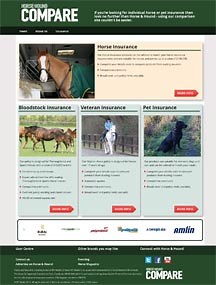 Horse & Hound launches horse insurance comparison website - Horse & Hound
