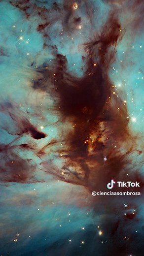 El color de una estrella revela su edad 🌌✨ ¿Sabías que el color de una estrella no es solo belleza, sino información? Las estrellas azules son jóvenes y extremadamente calientes, mientras que las estrellas rojas son más frías y antiguas. Cada color en el cielo nos cuenta una parte de la historia del universo y del paso del tiempo cósmico. Cuando miras el cielo nocturno, no solo ves luz… estás viendo la edad de las estrellas. 🌌 Astronomía | Ciencia | Universo #Astronomía #CienciaAsombrosa #Univ