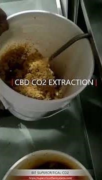 Supercritical CO2 extraction of CBD Oil