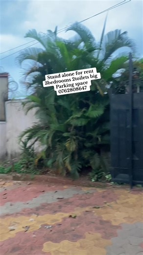 #creatorsearchinsights #trendingvideo #foryourpage #fullhouse #apartment close to main road with decent neighborhood