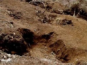 Caminhando com dinossauros episódio1 parte 5