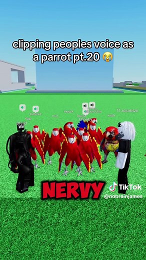 I Just Get So Nervy! Roblox Parrot Prank