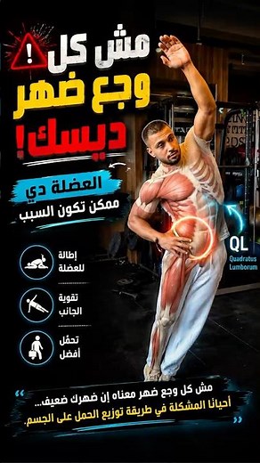 Low Back Pain Relief Starts Here | QL Muscle- lower back pain - Back Exercises
