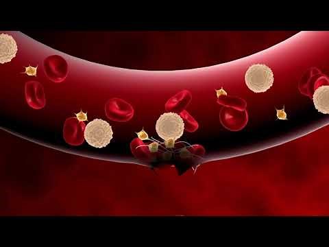 Tissue Injury and Repair Tissue Regeneration and Healing