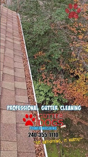 Fort Washington Gutter Cleaning. You Won’t Believe What Was Hiding in These Gutters