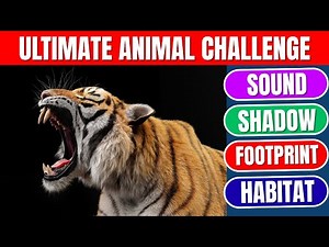 Ultimate Animal Quiz Challenge | Sounds, Shadows, Footprints and Habitats