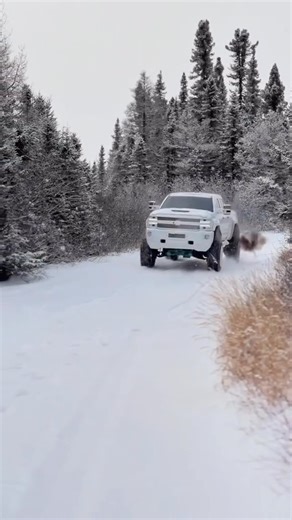 How’s this Duramax sound!? 💨 • Follow for more truck builds🇺🇸💯 - Owner : @dnash1998 • Tag a DURAMAX owner👍🏼 & DM for submission❗️ - #dieseltrucknerds - - - - #liftedtrucks #liftedlifestyle #lifteddiesel #liftedchevys #liftedtrucksmatter #liftedtrucksdaily #trucks #trucksofinstagram #trucksdaily #truckporn #trucklife #dieseltruckaddicts #dieselmafia #diesel #dieseltrucks #dieselpower #diesellife #dieseltruck #duramax #duramaxdiesel #duramaxtrucks #duramaxnation #l5p #Iml #Ibz #24x14 #26x16 
