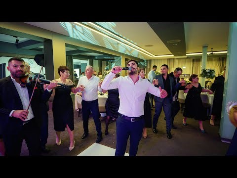 Roman Brothers 🔥 Hatz Hatz 💥🕺 LIVE Madalina & Cristian Wedding 🎤