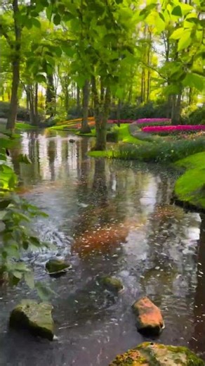 Nature gets new life in spring. Vibrant Vibes in spring #spring #life #nature #flowers #river