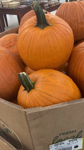 Happy spooby season😃#spooby #spookyseason #spooky #halloween #fyp