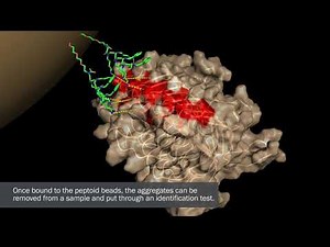 How it works: A game-changing new test for prion disease
