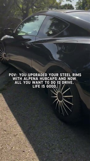 Alpena Wheel Hubcaps