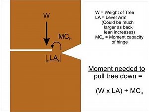 Engineering Principles of the Hinge