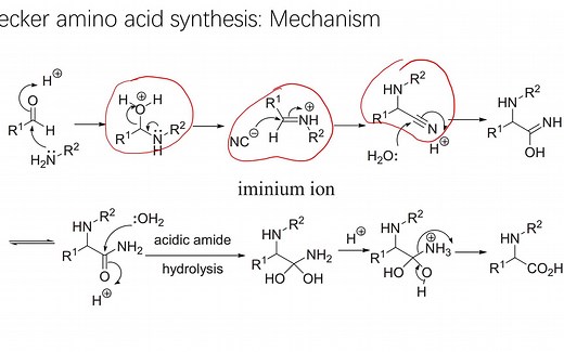 有机人名反应（254）：Strecker amino acid synthesis