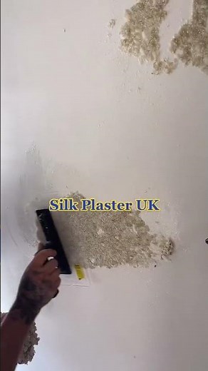 Elevate Your Walls with a STUNNING SILK PLASTER Finish