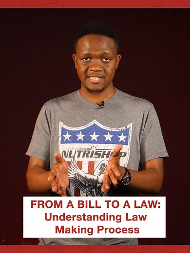 Kenya's Law-Making Process: Thorough Scrutiny & Public Participation