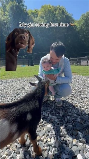 Baby’s First Animal Encounter #adorable #cute
