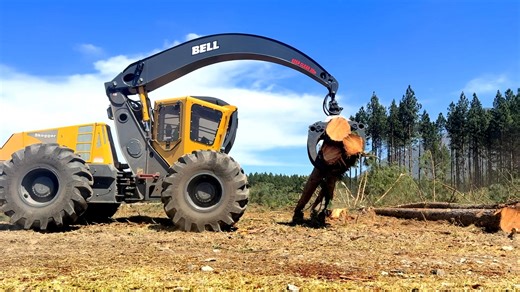 3.6K views · 100 reactions |  Poetry in (slow) motion 蝹  The Bell...