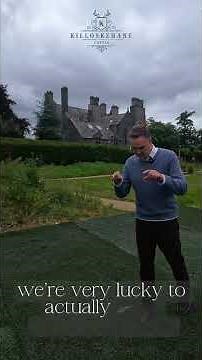 We Installed AstroTurf In Our Backyard!