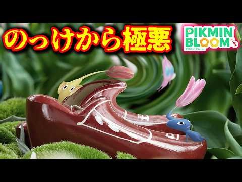 [Pikmin Bloom] A wicked tulip festival right from the start! [Pikmin Bloom]