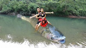 129K views · 3.8K reactions | Survival skills - Primitive couple meet big fish and catching big fish by hand, Cooking fish © Copyright by Primitive Cooking KT | Primitive Cooking KT | Facebook