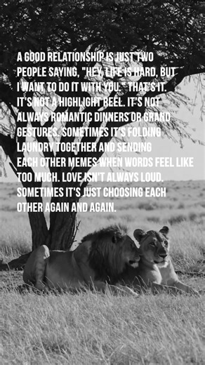 The Power of Steady Love: A Motivational Insight