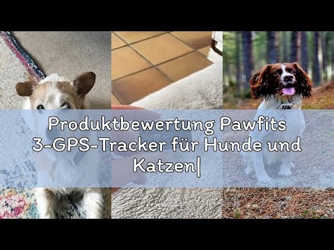 Produktbewertung Pawfits 3-GPS-Tracker für Hunde und Katzen| Live-Satellitenortung Weltweit| Weglauf