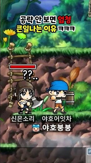 월묘 파티퀘스트 쉽네~~ #메이플랜드