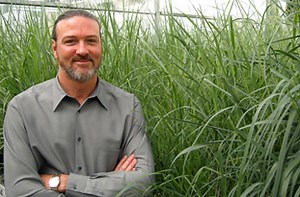 E. coli can now make three kinds of fuel out of grass