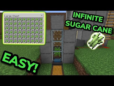 EASY 1.21 ZERO-TICK SUGARCANE FARM TUTORIAL in Minecraft Bedrock (MCPE/Xbox/PS4/Nintendo Switch/PC)