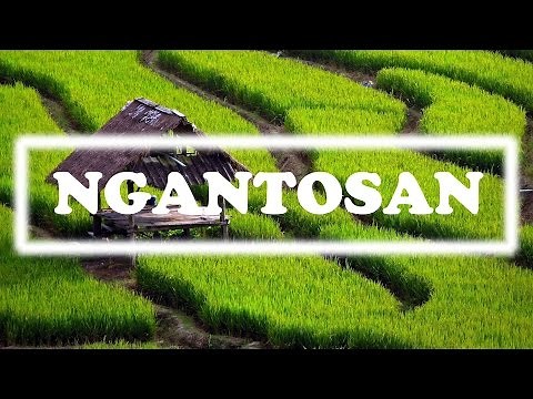 [NGANTOSAN] SUNDANESE INSTRUMENTALIA | DEGUNG SUNDA | INDONESIAN TRADITIONAL MUSIC