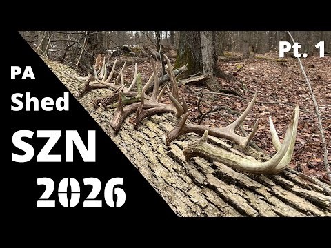 PA PUBLIC LAND Shed Hunting 2026 (pt. 1)
