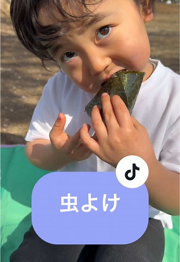 家族のお肌に優しい虫よけスプレーの紹介