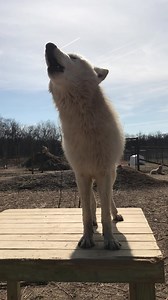 925 reactions · 146 shares | It's not too early to start planning...